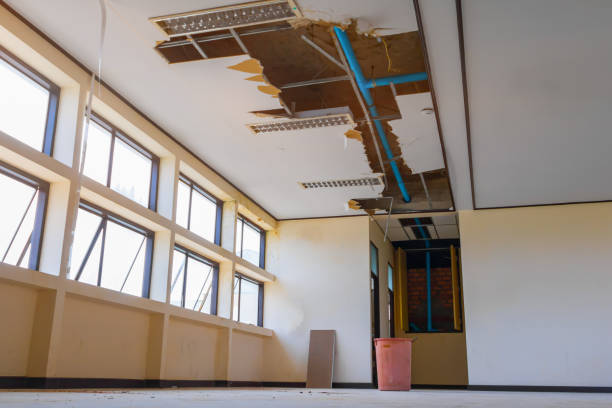 Best 24-hour water damage restoration  in Malverne, NY
