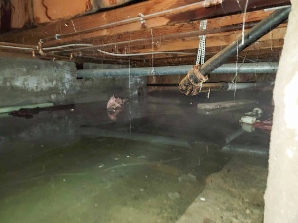 Best Water damage restoration near me  in Malverne, NY
