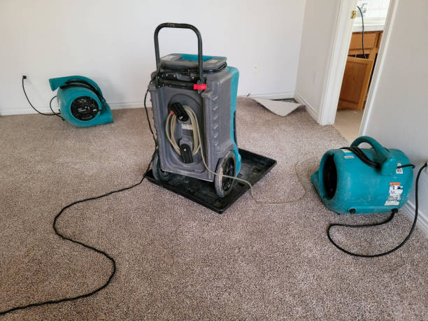 Best Commercial water damage restoration  in Malverne, NY