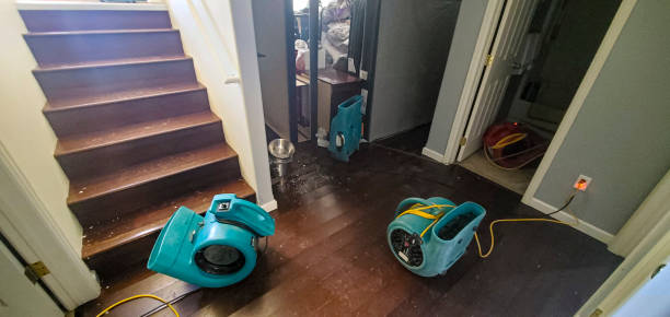 Best 24-hour water damage restoration  in Malverne, NY