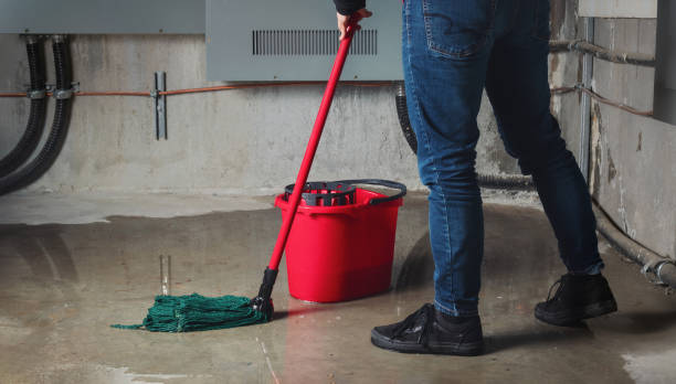 Best 24/7 water damage repair  in Malverne, NY