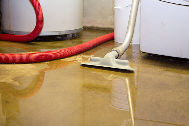 Best Professional water damage repair  in Malverne, NY