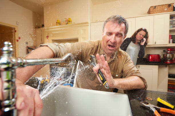 Best Mold removal after water damage  in Malverne, NY